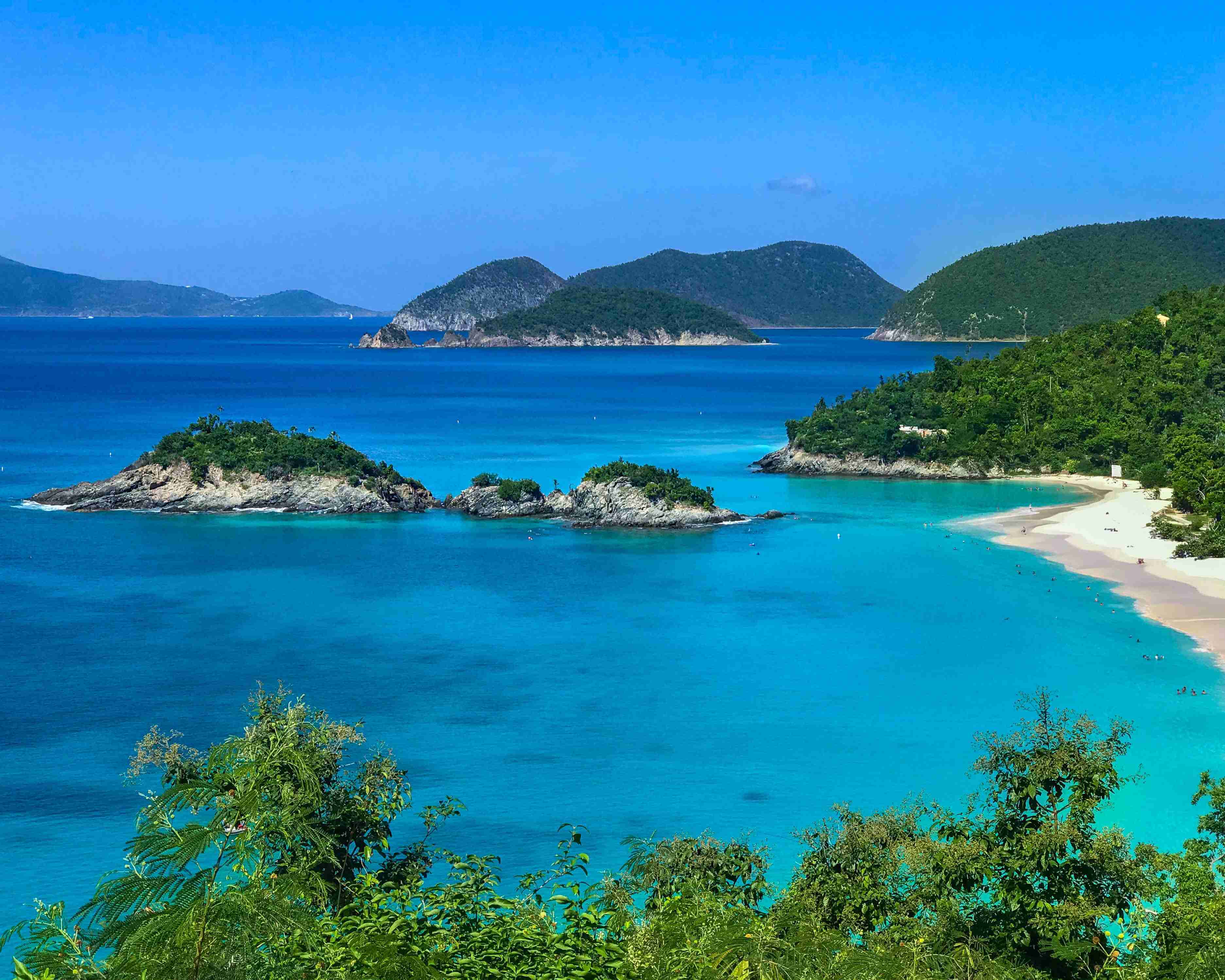 St. Kitts & Nevis Citizenship by Investment
