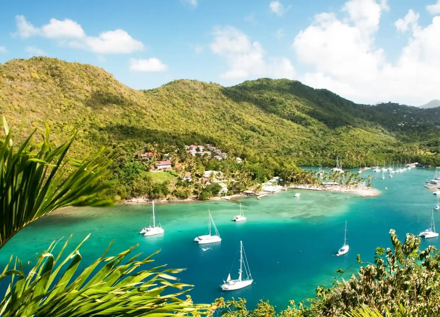 St. Lucia Eligibility