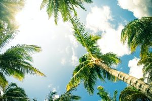 Island Living – Real Estate Investment vs Private Property Investment