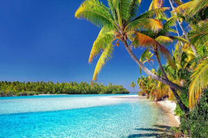 Offshore Trusts: Everything You Need to Know